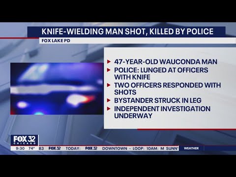 Knife-wielding man shot and killed by Fox Lake police