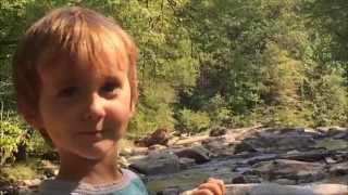 Joanna Newsom - Waltz of the 101st Lightborne