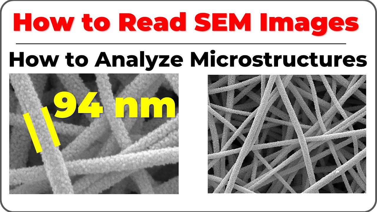 How to Read SEM Images | Microstructure Analysis Explained
