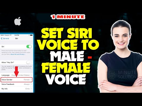 How to set Siri voice to Male/Female voice 2024