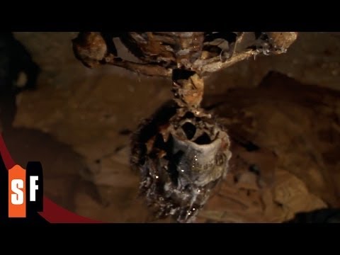 Thumbnail of the video: It's A Trap!