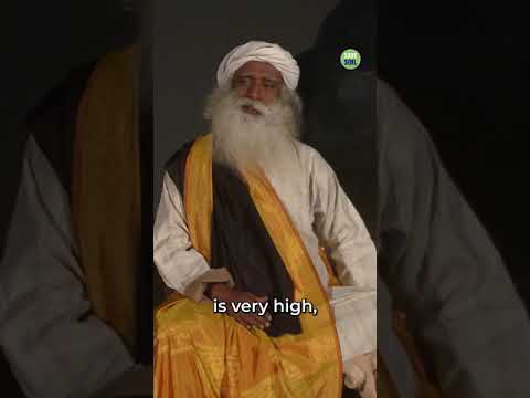 vp-g13