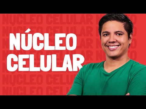 Cell Nucleus - Prof. Kennedy Ramos