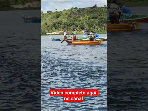 Cortes da corrida de remo em Jequiá #corridadebarco #remo #jequia #alagoas