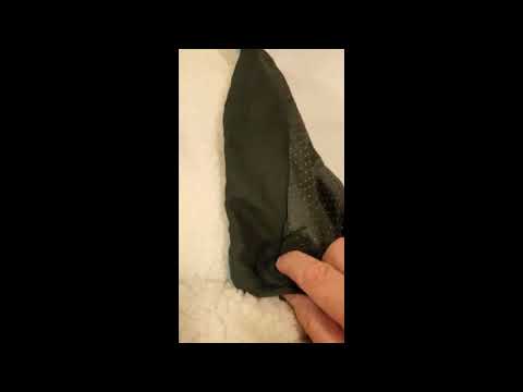 EDUJIN Medium Egg Crate Foam Black Dog Bed Review, Soft and Easy To Clean