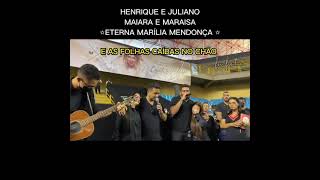 Flor e Beija Flor - Henrique e Juliano Maiara e Maraisa #mariliamendonça