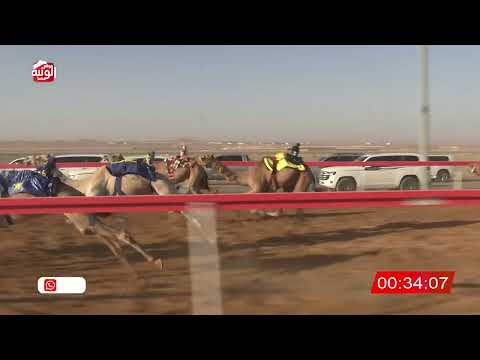  ش 19 (الشاهينية) لـ خليفه ضبيب الشامسي 2:07 , شارة الصندوق 2026/06/06 فطامين الروضة   