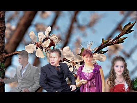 tata.marin pana din Rojiste mpg