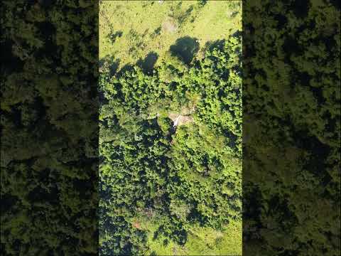 ribeirão claro-pr/cachoeira