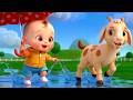 Rain Rain Go Away MORE Kids Songs Nursery Rhymes Cartoons Nick Music For Kids Baby