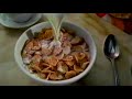 Cinammon Frosted Flakes Commercial 2003