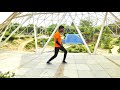 Teri Meri Dubstep Dance