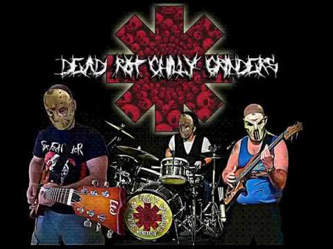 Dead Rot Chilly Grinders - I wish I never Hate the moment when I Late