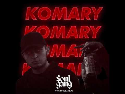 LataN ft. Reafresh - KOMARY