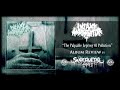 CD Review: Infant Annihilator - The Palpable ...