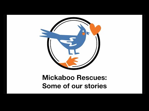 Rescue Unwanted and Abandoned Companion Birds