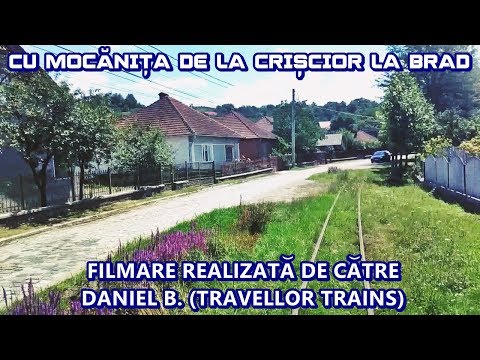 Cu Mocănița de la Crișcior la Brad (With "Mocănița" from Crișcior to Brad) | Rear-view