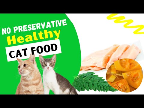 How To Make A No Preservatives Healthy Food For Cat