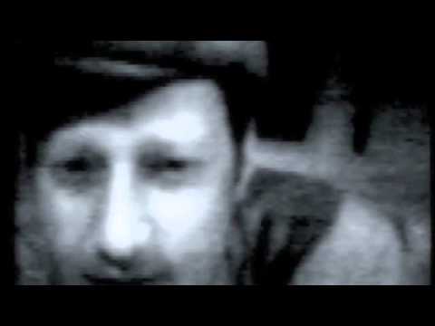 The Rosebuds - Woods