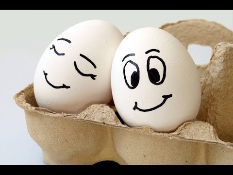 Cute Live Wallpaper Video