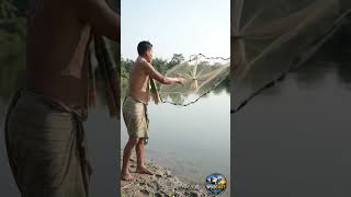 Traditional Cast Net Fishing in the River | Fisherman Catch 🎣