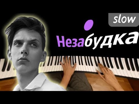 Незабудка (SLOW) ● караоке | PIANO_KARAOKE ● + НОТЫ & MIDI | Тима Белорусских