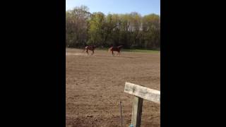 Feed Time CAUTION GET OUT OF THE WAY !! Lol