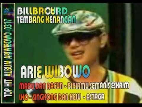 Download Ari Wibowo Mp3 Lagu - Download Lagu