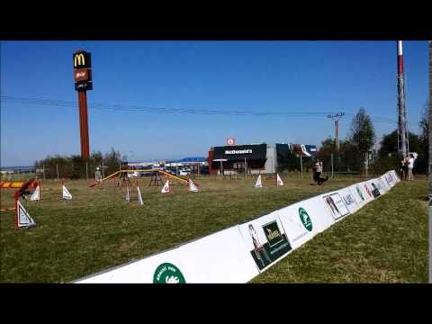Agility trojzkoušky - Horní Počernice
