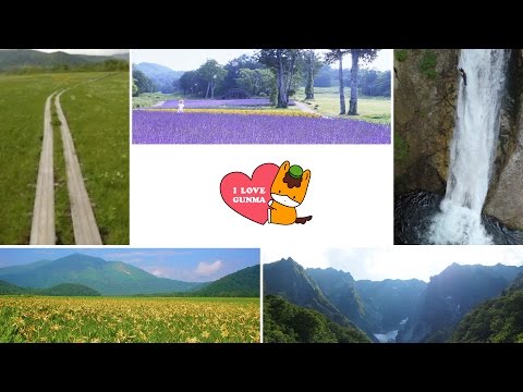 綠色的季節 / 歡迎光臨 群馬縣