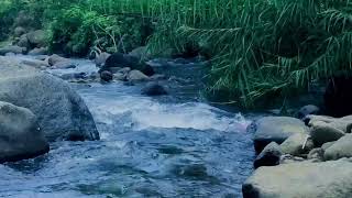 Top 3 SOOTHING Sounds for Sleep You Can't Ignore