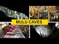Mulu Caves Sarawak - exploring Lang, Dear, Wimd, Clearwater Cave & watch the bats' exodus