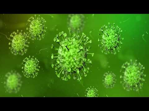 Green screen Animated 3D Model Corona Virus l Corona Virus Motion Bg