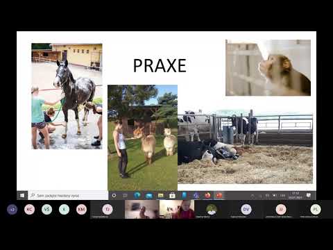 Kôň domáci (Equus caballus) — video o chove a starostlivosti