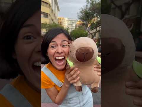 Christina 💙 su #capibara #capibaradeleste #capibaras #123andres #musicainfantil  #videosinfantiles