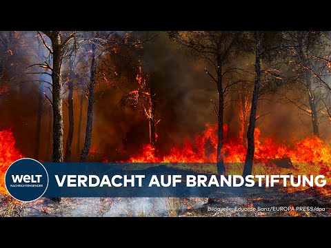 WALDBRÄNDE IN SPANIEN: Über 1000 Menschen evakuiert – Verdacht auf Brandstiftung!