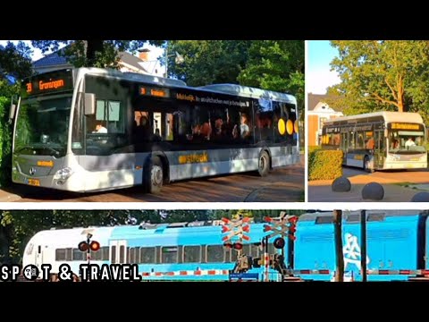 Zuidhorn | Citaro C2 LE | Van Hool | WINK // Dutch Arriva train and two Qbuzz buses | 10-8-25.