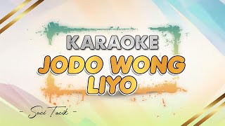 Download lagu Jodo Wong Liyo - KARAOKE || Suci Tacik | Iling janjine bengen, Ngajak bebarengan | DANGDUT KOPLO mp3