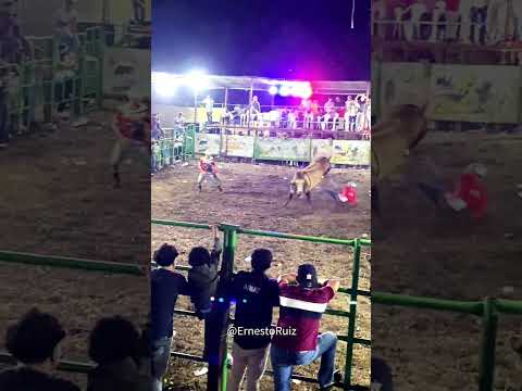 Toros El Rosario, Carazo 202. #viral #trending #toros