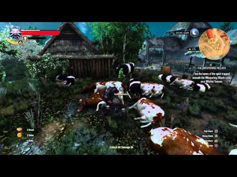The Witcher 3: Wild Hunt How To Make Money Fast