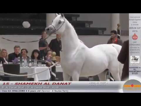 SHAMEKH AL DANAT - Berlin Cup  2015
