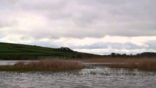 preview picture of video 'Kayaking on the River #Shannon Lough Derg Tipperary'