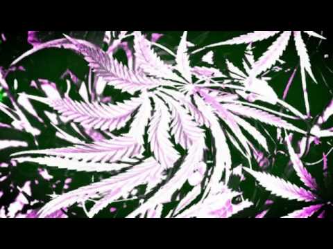 King Layzie x DRVG$ (Drugs) (Prod. $ulto) |FULL SONG| GlitchMusic2