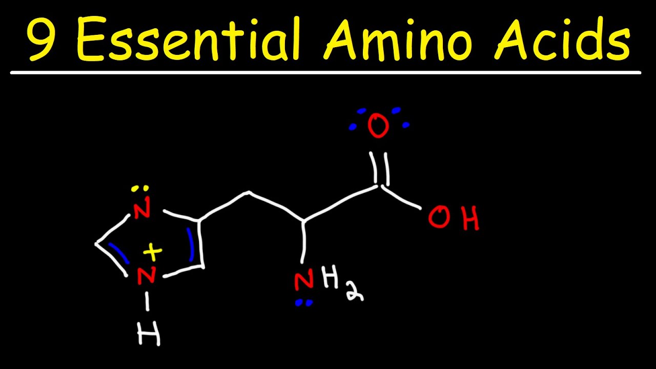 Essential Amino Acids