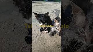 Download lagu habis mandi lagi #video #jalanyangjauhjanganlupapulang #videoshort mp3