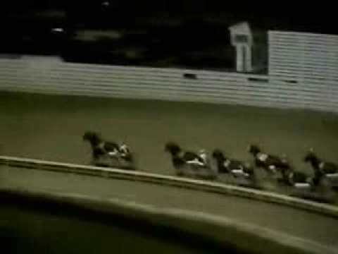 NIATROSS- 1980 Cane Pace elimination - Yonkers Raceay