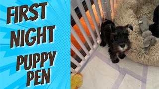 Where Should Your Puppy Sleep On Their First Night: Crate or Puppy Play Pen?