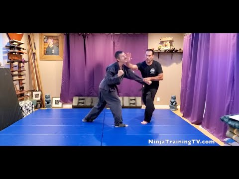 Seito (Move Like a Darting Fish), Gyokko Ryu Koshijutsu