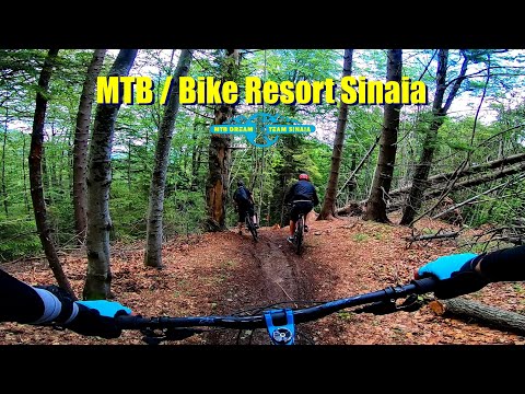 MTB | Bike Resort Sinaia