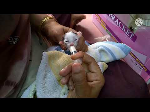 Life without mother|| by Robina